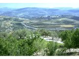 Site of Samaria